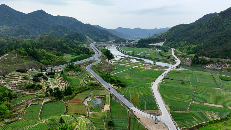 浙農(nóng)浙貝母、杭白菊基地通過中藥材GAP延伸檢查